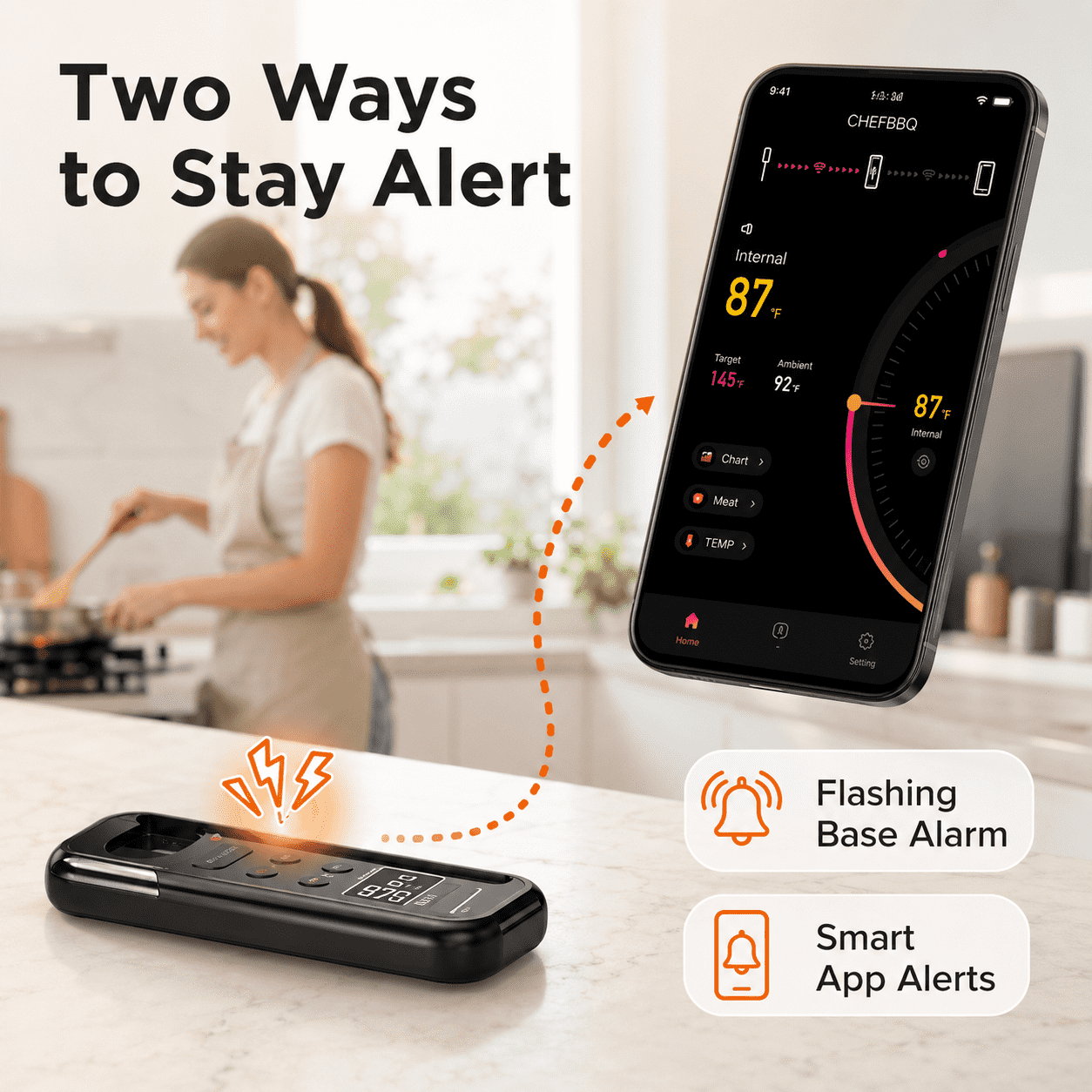 Termometer Daging Bluetooth Ni - Meat Thermometer ulasan dan harga