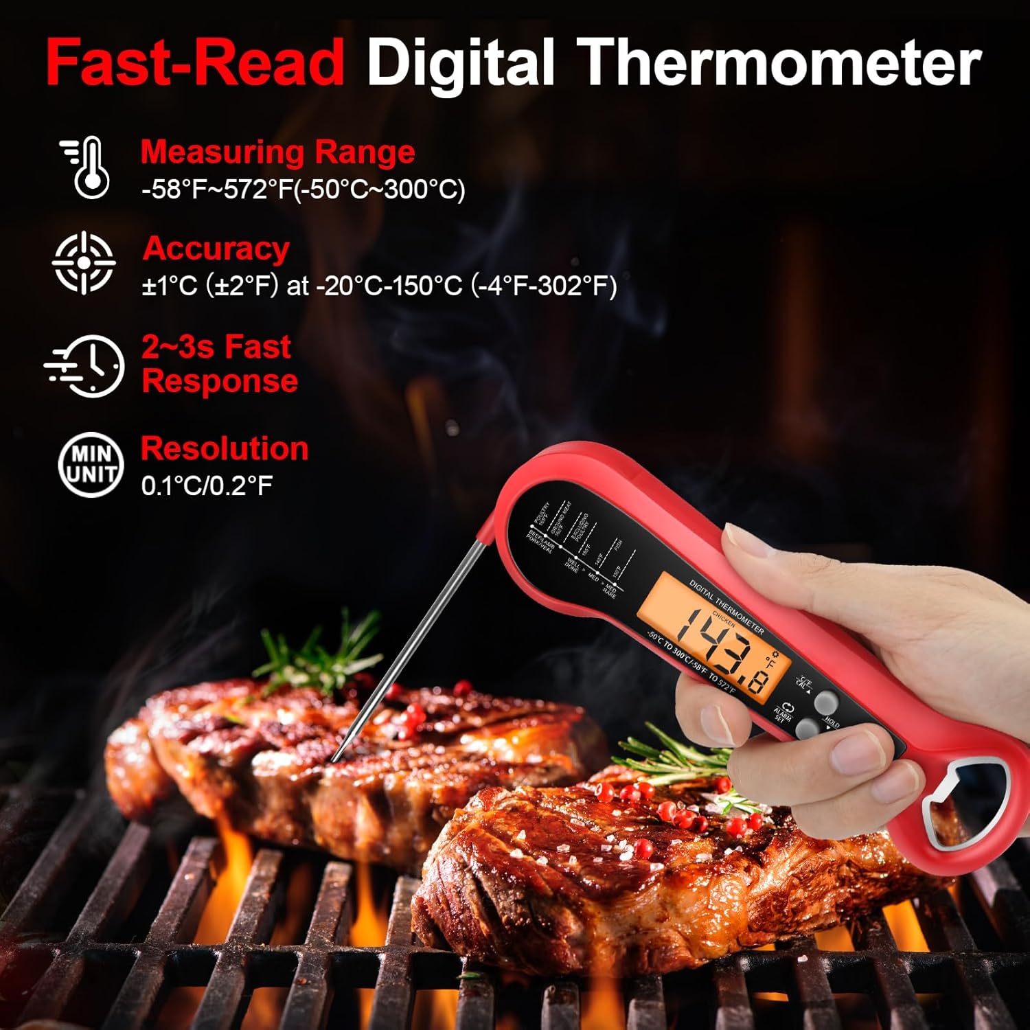 Termometer Daging Digital Prof - Meat Thermometer ulasan dan harga
